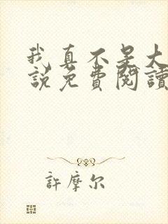 我真不是大佬小说免费阅读