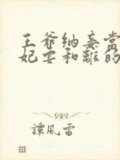 王爷纳妾当天王妃要和离的小说