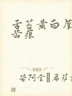 舌苔黄白厚腻有齿痕