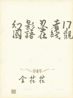 幻影忍者17季国语在线观看