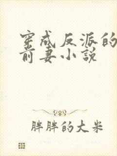 穿成反派的炮灰前妻小说