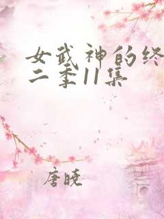 女武神的终末第二季11集