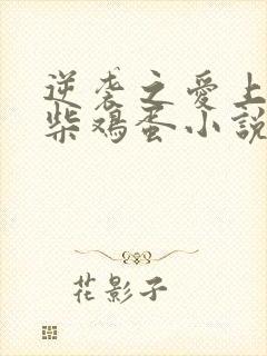 逆袭之爱上情敌柴鸡蛋小说版免费