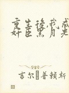 重生后,我成了奸臣黑月光