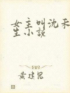 女主叫沈禾的重生小说