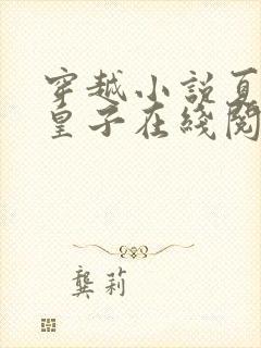 穿越小说夏天九皇子在线阅读