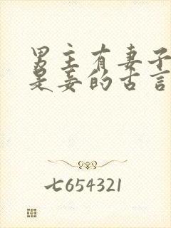 男主有妻子女主是妾的古言