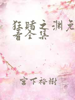 狂赌之渊免费观看全集