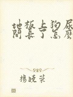 地板上狗尿渍时间长了怎么去除