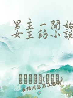 男主一开始嫌弃女主的小说