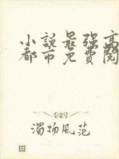 小说最强高手在都市免费阅读