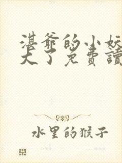 湛爷的小妖精长大了免费读