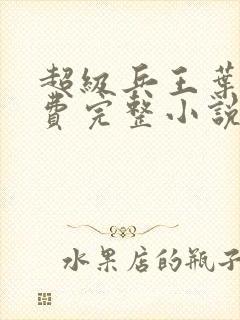 超级兵王叶谦免费完整小说