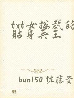 txt女总裁的贴身兵王