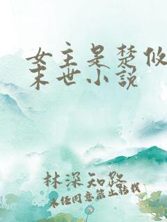 女主是楚攸宁的末世小说