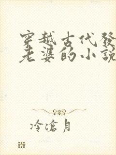 穿越古代发三个老婆的小说