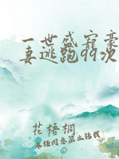 一世盛宠豪门小妻逃跑99次