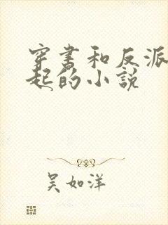 穿书和反派在一起的小说