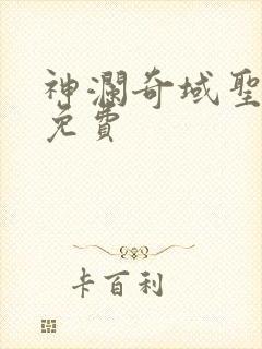 神澜奇域圣耀珠免费