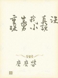 重生我真没想当暖男小说