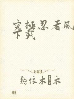 究极忍者风暴4下载