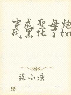 穿成圣母炮灰后我黑化了txt