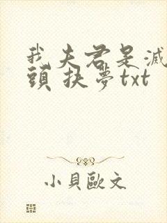 我夫君是灭世魔头 扶梦txt