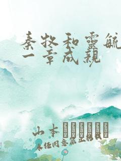 秦牧和灵毓秀哪一章成亲