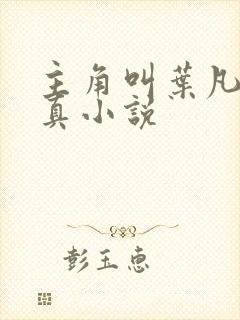 主角叫叶凡的修真小说