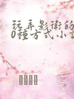 玩弄影卫的100种方式小说