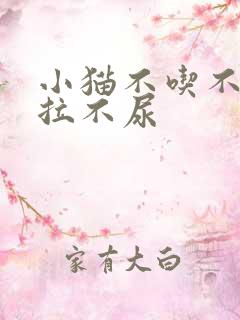 小猫不吃不喝不拉不尿