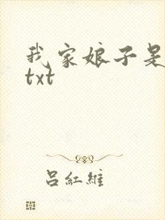 我家娘子是剑神txt