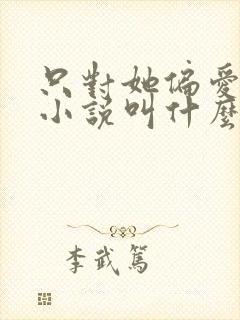 只对她偏爱原著小说叫什么名字