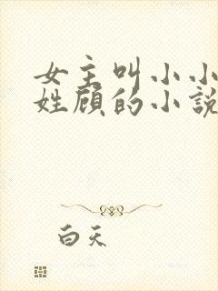 女主叫小小男主姓顾的小说