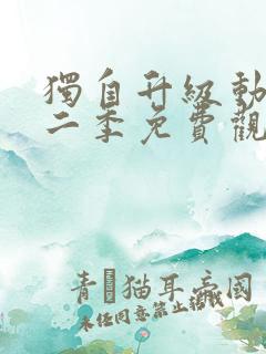 独自升级动漫第二季免费观看