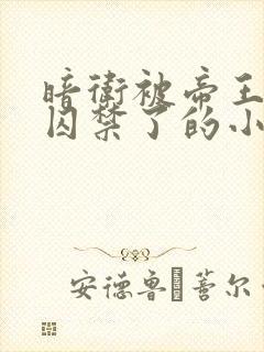 暗卫被帝王抓回囚禁了的小说