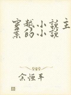 穿越小说主角姓叶的小说