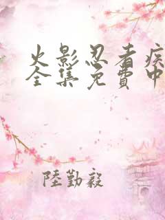 火影忍者疾风传全集免费中文版全集免费