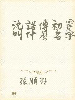 沈诺傅初霁小说叫什么名字