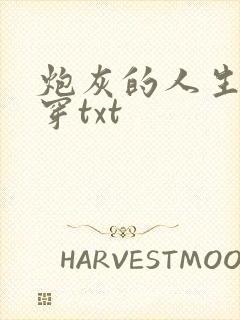 炮灰的人生2快穿txt