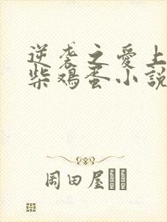 逆袭之爱上情敌柴鸡蛋小说原文免费阅读