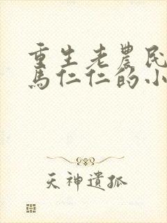 重生老农民我是马仁仁的小说