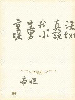 重生我真没想当暖男小说txt