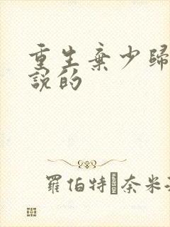 重生弃少归来小说的