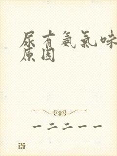 尿有氨气味什么原因