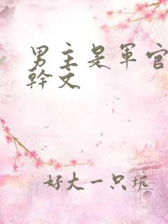 男主是军官的高干文