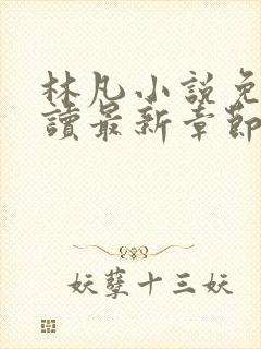 林凡小说免费阅读最新章节