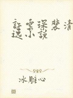 许云琛裴清欢安逸小说