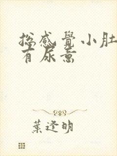 总感觉小肚子涨有尿意