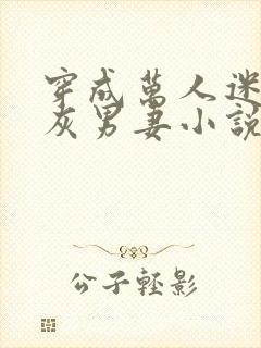 穿成万人迷的炮灰男妻小说